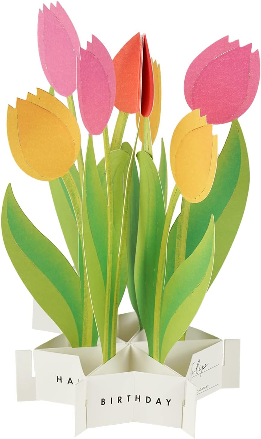 Greeting Life Birthday Blooming Card Tulip KE-31