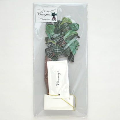 Greeting Life Birthday Blooming Card Banyan House KE-52