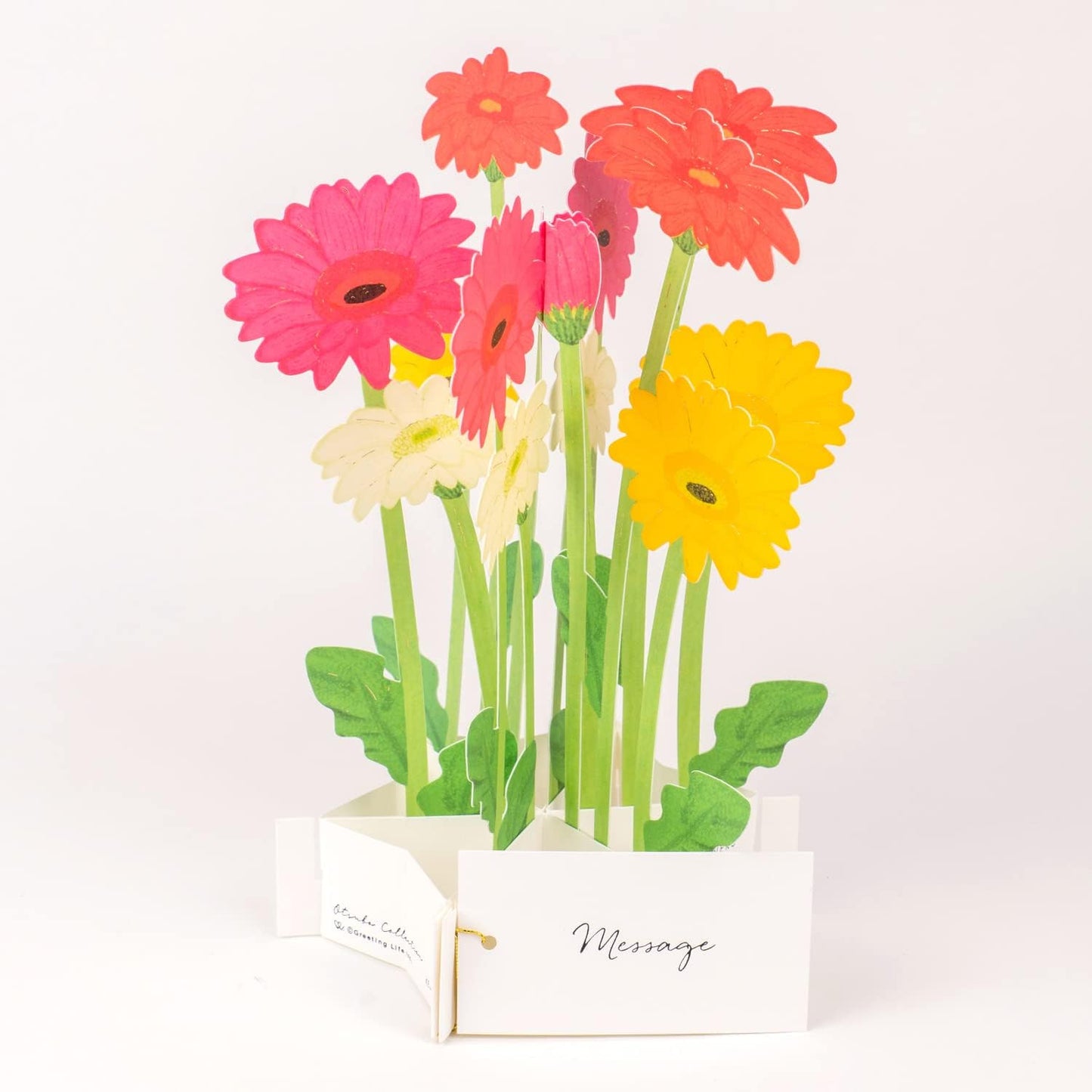 Greeting Life Birthday Blooming Card Gerbera KE-41