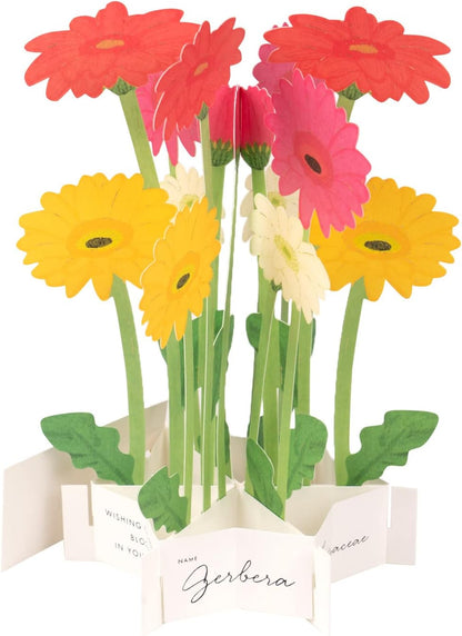 Greeting Life Birthday Blooming Card Gerbera KE-41