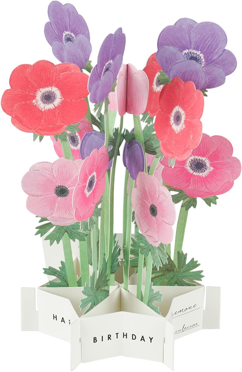 Greeting Life Birthday Blooming Card Anemone KE-30