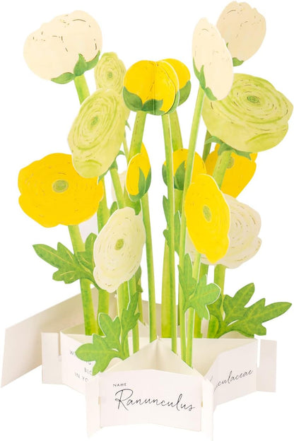 Greeting Life Birthday Blooming Card Ranunculus KE-39