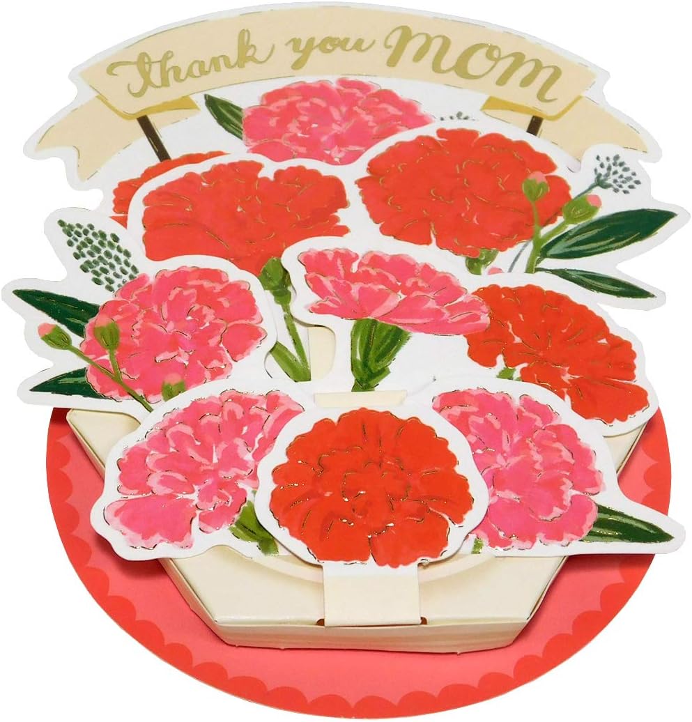 Greeting Life Mother's Day Flower Pot Carnation Red TK-20