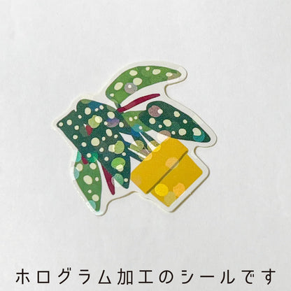 Hako Sticker Green Plants GLCK-72