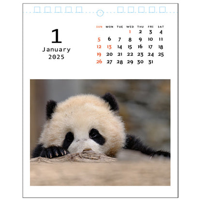 Greeting Life Desktop Calendar 2025 C-1605-PA