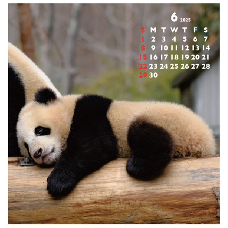 Greeting Life Desktop Calendar 2025 C-1612-PA