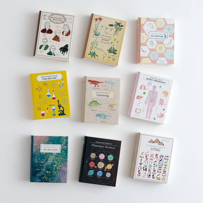 STUDY HOLIC Flake stickers with illustrated case <Astronomy> ST-277