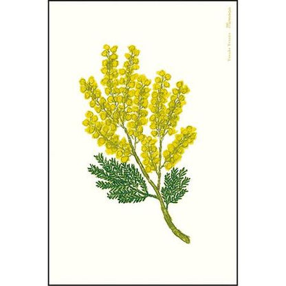 Greeting Life Yusuke Yonezu Postcard