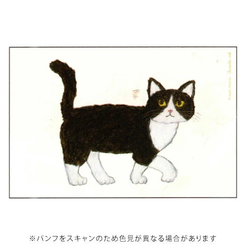 Greeting Life Yusuke Yonezu Postcard