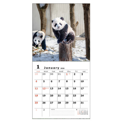2026 Panda Wall Calendar