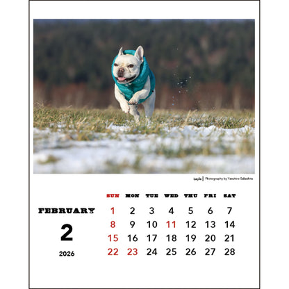 2026 Desk Calendar by Natsuhiko Family/Yasuhiro Sakashita