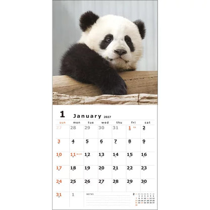 2027 LP Calendar - Panda