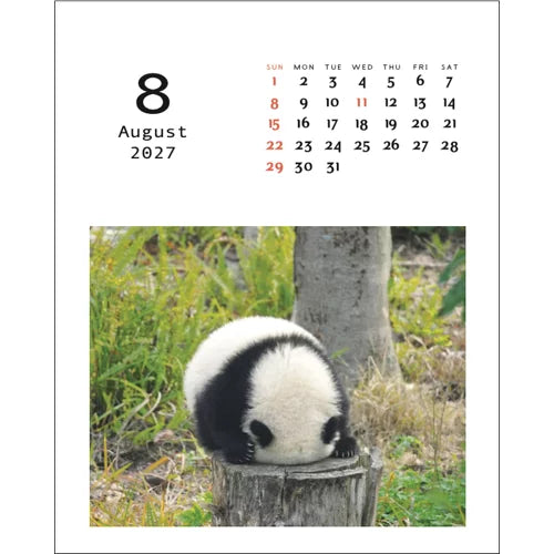 2027 Desk Calendar - Panda Kindergarten