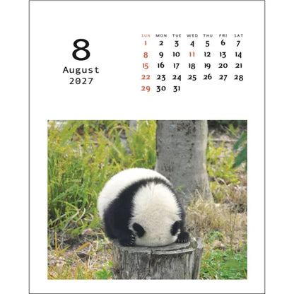 2027 Desk Calendar - Panda Kindergarten