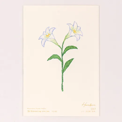 Anniversary Birthday Card and Anniversary Card
