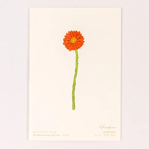 Anniversary Birthday Card and Anniversary Card