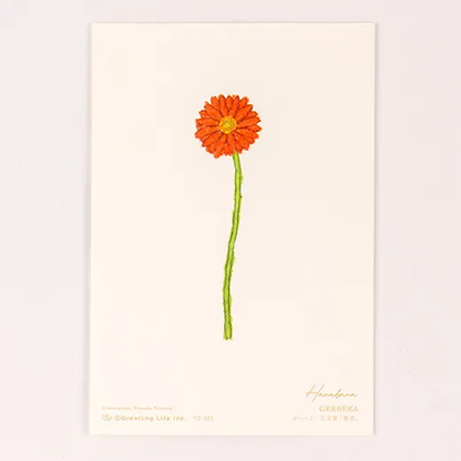 Anniversary Birthday Card and Anniversary Card