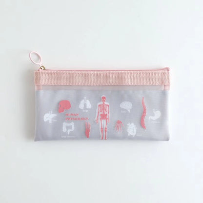 STUDY HOLIC Mesh Pen Pouch ST-238 [Human Biology] Human Biology