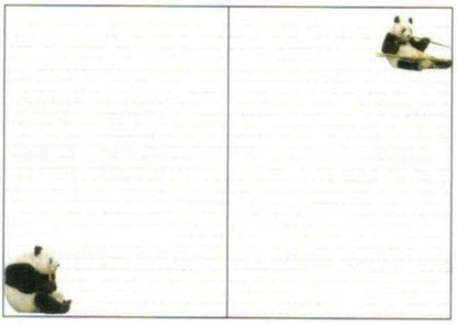 2026 Panda A6 soft cover monthly planner