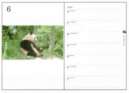 Panda 2026 B6 soft cover notebook Ohirune