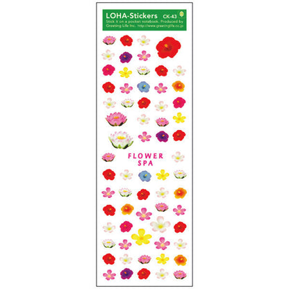 Greeting Life LOHA Sticker FLOWER SPA CK-43