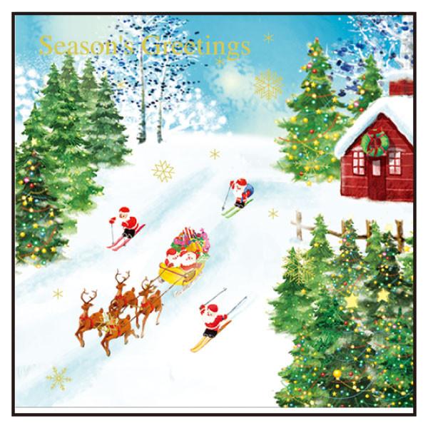 Greeting Life Holiday Card P-233